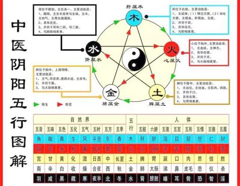 五行關係圖